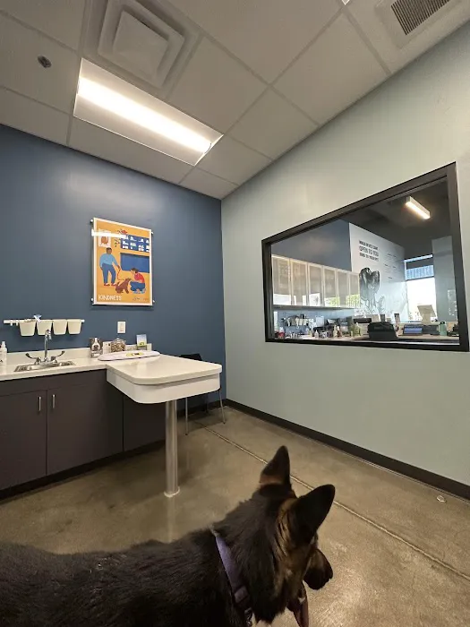 PetWellClinic - Ahwatukee Picture 2