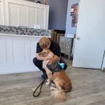 Pecan Grove Veterinary Hospital