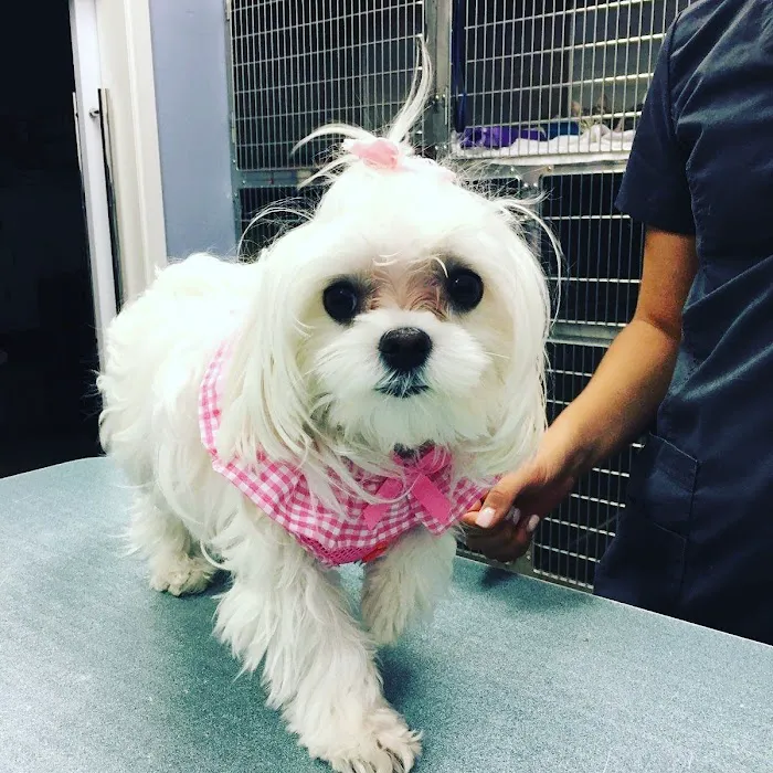 Pecan Grove Veterinary Hospital Picture 7