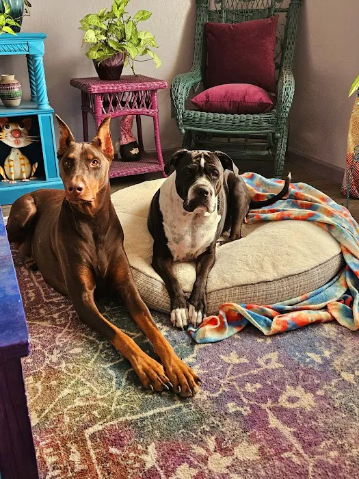 Kennel Care Veterinary Hospital Picture 6