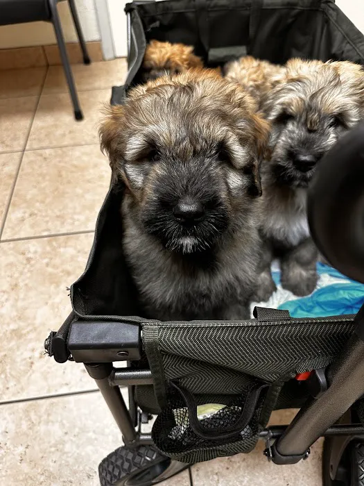 Kennel Care Veterinary Hospital Picture 3