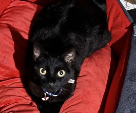 Petco