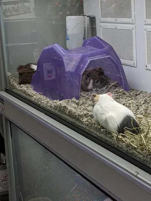Petco Picture 6