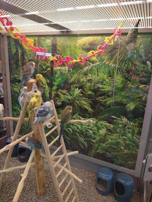 Petco Picture 7