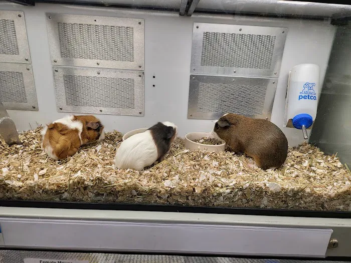 Petco Picture 9