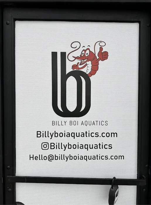 Billyboi Aquatics Picture 4