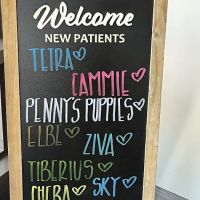 Countryside Animal Hospital ico