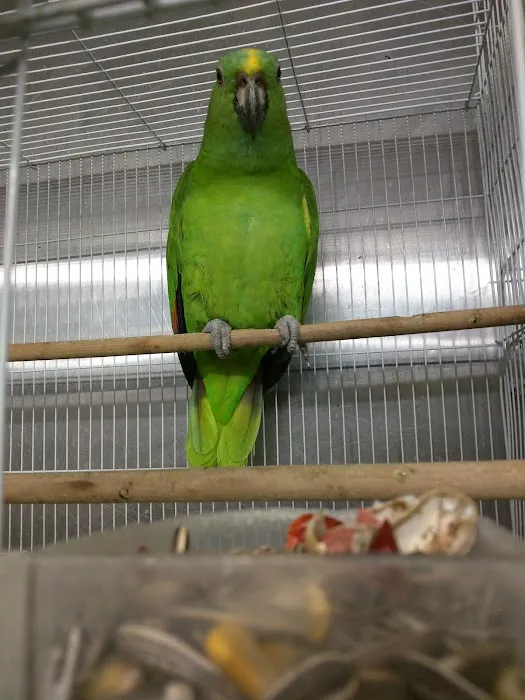 El Granero Pet Shop Picture 7