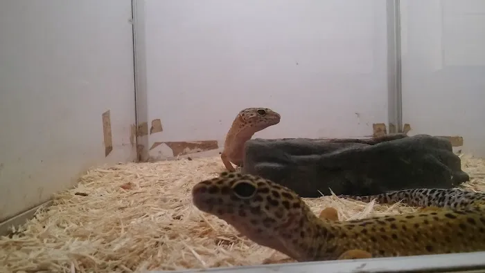 El Granero Pet Shop Picture 5