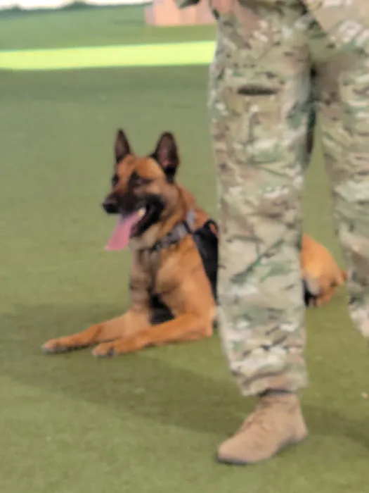 Luke Air Force Base Veterinary Service Picture 1