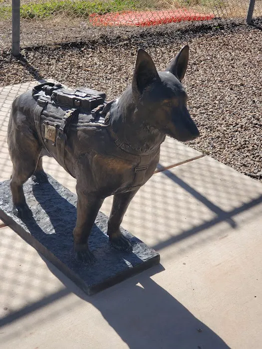 Luke Air Force Base Veterinary Service Picture 6