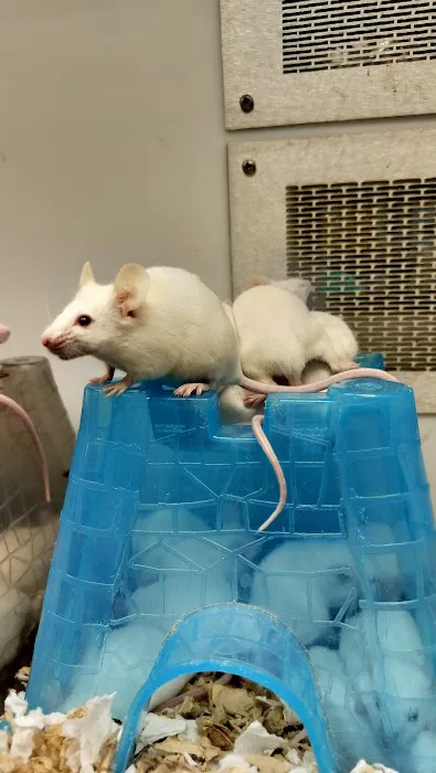 Petco Picture 2