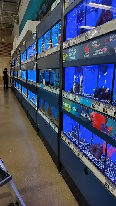 Petco Picture 1