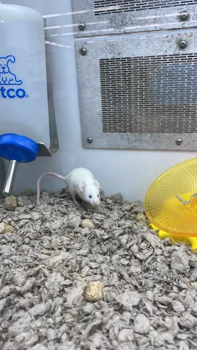 Petco Picture 6