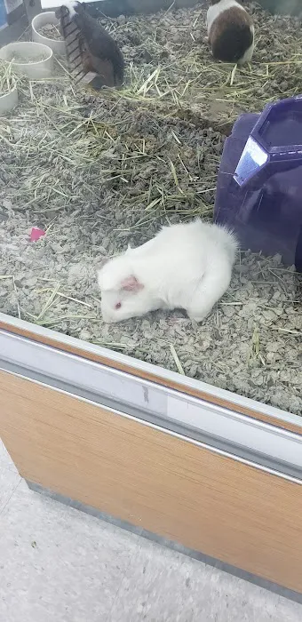 Petco Picture 8