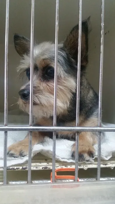 Petland Picture 3