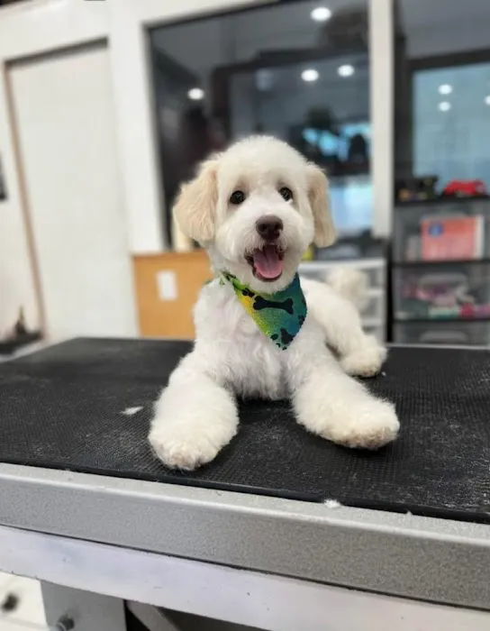 Petland Picture 10