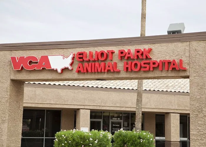 VCA Elliot Park Animal Hospital Picture 4