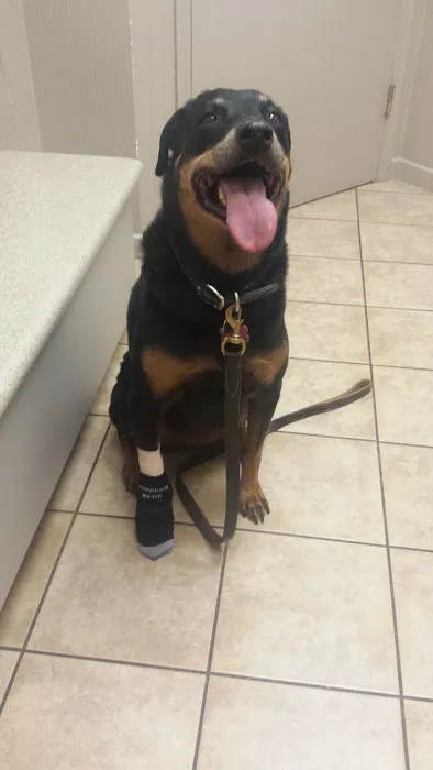 VCA Elliot Park Animal Hospital Picture 1