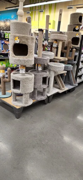 Petco Picture 1