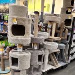 Petco