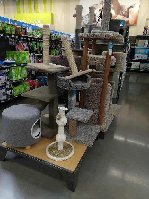 Petco Picture 7