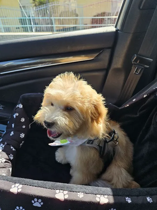 Petco Picture 9
