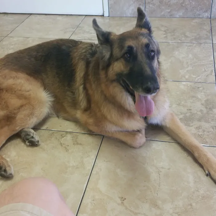 Topaz Veterinary Clinic Picture 1