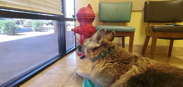Topaz Veterinary Clinic Picture 2