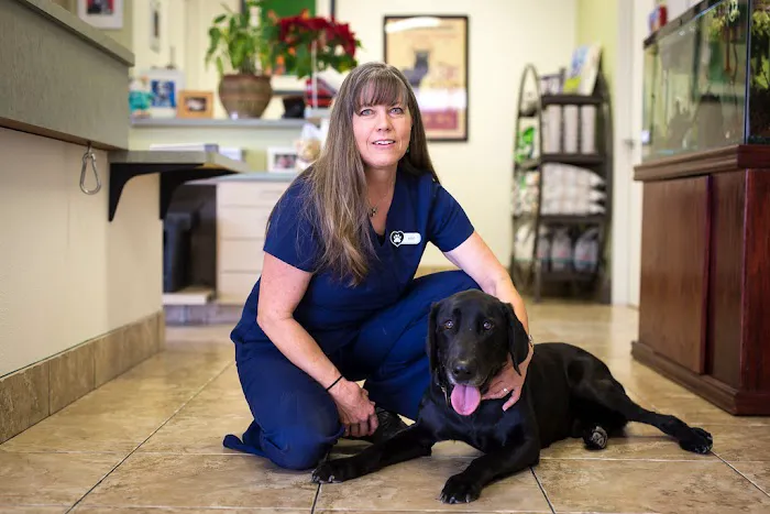 Topaz Veterinary Clinic Picture 9