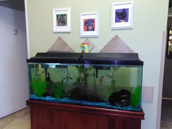 Topaz Veterinary Clinic Picture 6