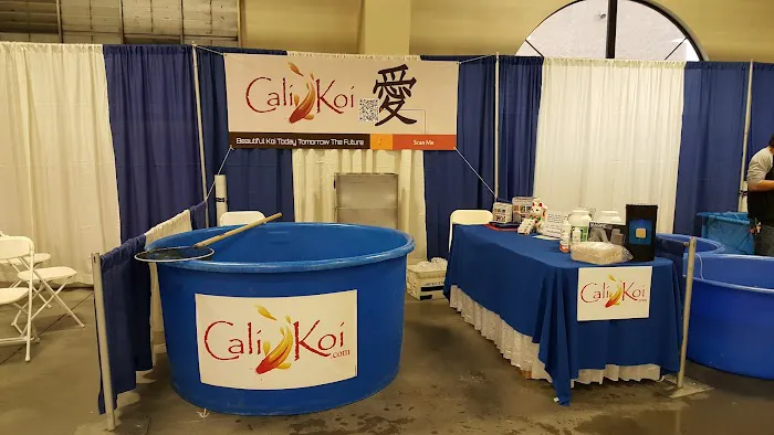 Cali Koi Picture 1