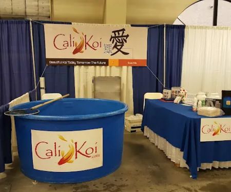 Cali Koi