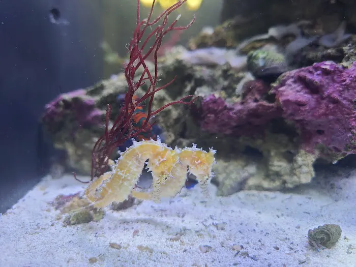 Aquarium Reefers Online Store Picture 1