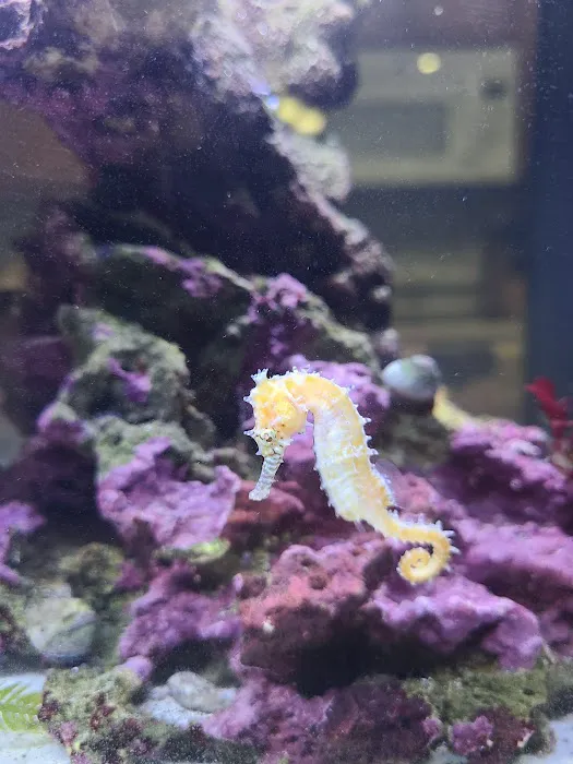 Aquarium Reefers Online Store Picture 2
