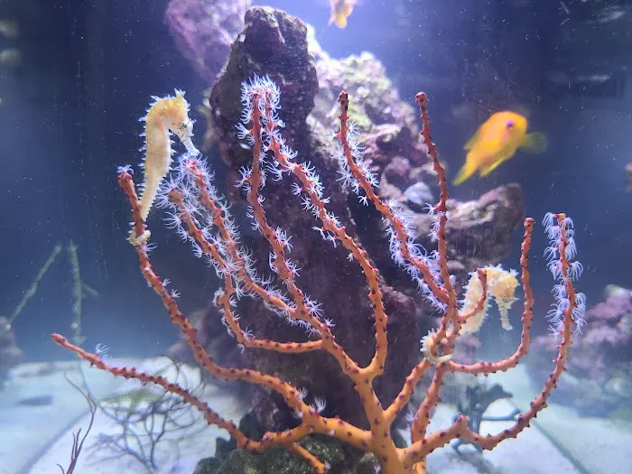 Aquarium Reefers Online Store Picture 5