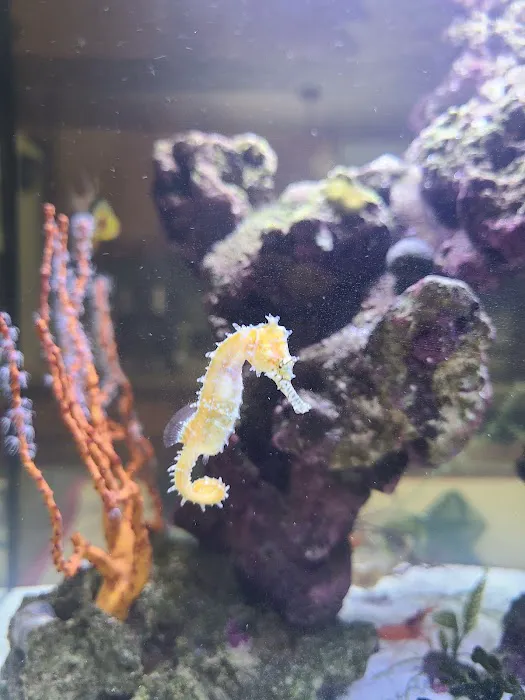 Aquarium Reefers Online Store Picture 4
