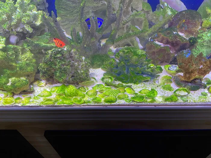 Aquarium Reefers Online Store Picture 7