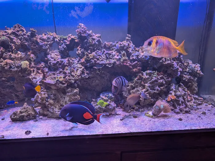 Aquarium Reefers Online Store Picture 8
