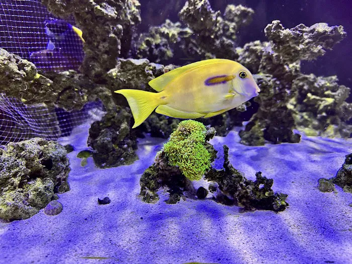 Aquarium Reefers Online Store Picture 10