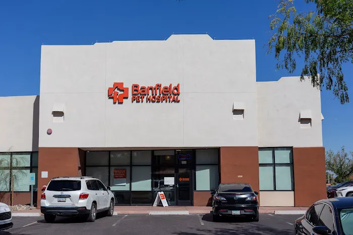 Banfield Pet Hospital Picture 3
