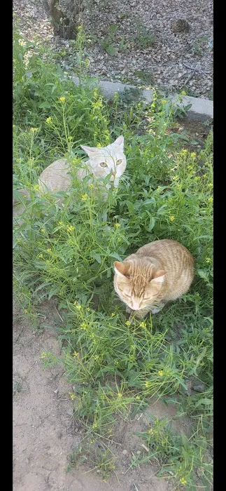 Banfield Pet Hospital Picture 2