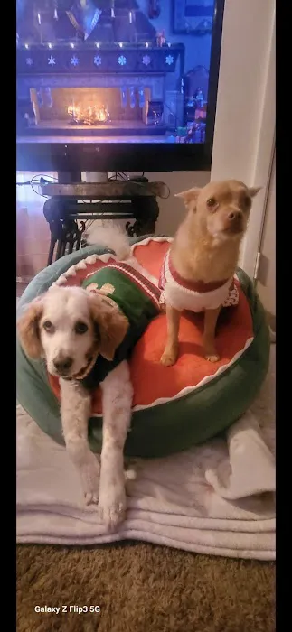 Banfield Pet Hospital Picture 4