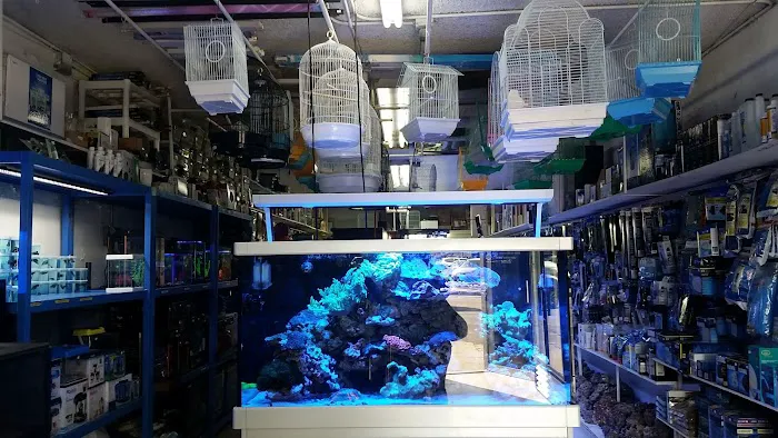 Rainbow Aquarium and Pond Picture 4
