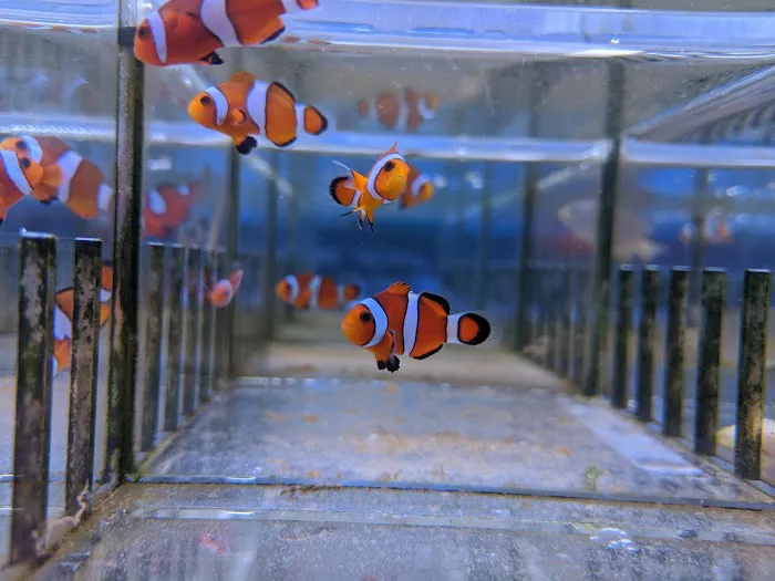Rainbow Aquarium and Pond Picture 6