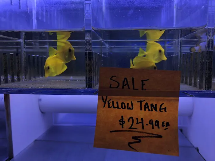 Rainbow Aquarium and Pond Picture 5