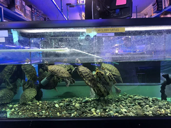 Rainbow Aquarium and Pond Picture 8