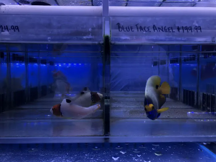 Rainbow Aquarium and Pond Picture 7