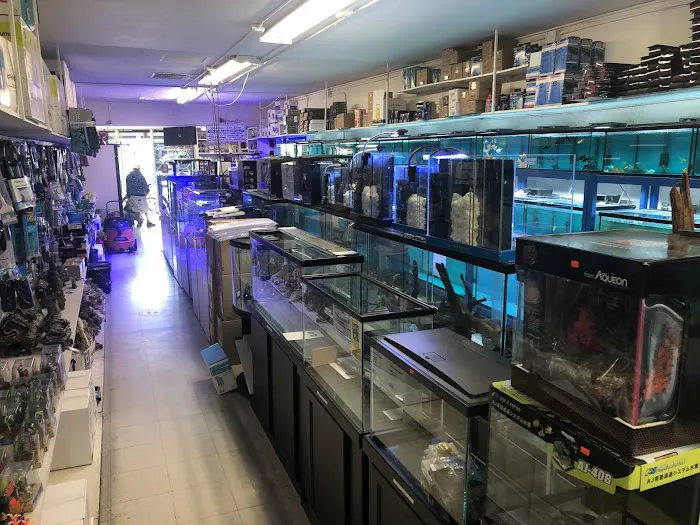 Rainbow Aquarium and Pond Picture 9