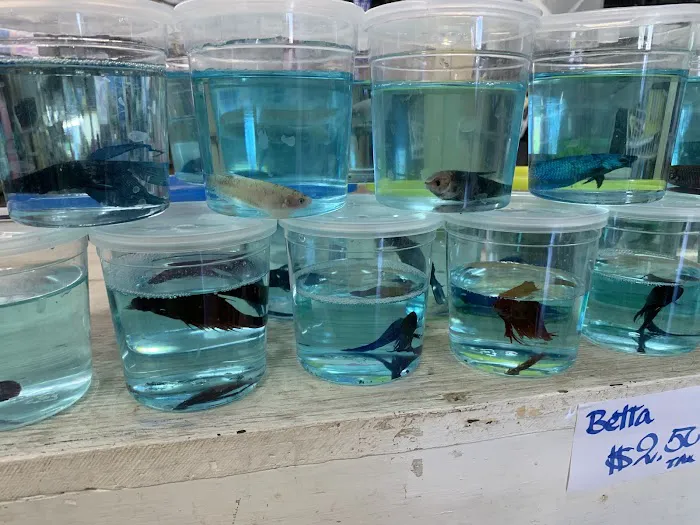 Pet Shop Picture 3